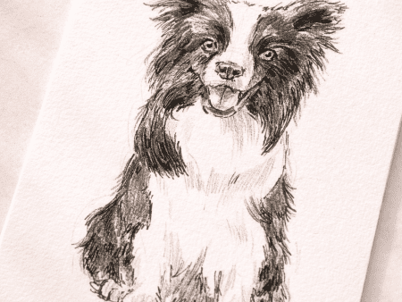 A Little Portrait of Your Pet – Custom Black & White Sketch